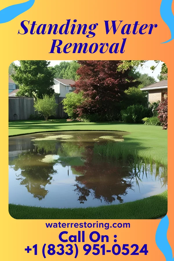 Standing Water Removal in Frankfort, SD